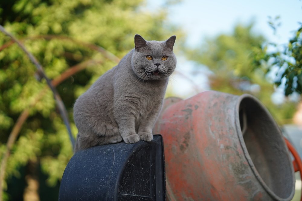 Photograph by Анна Орловская