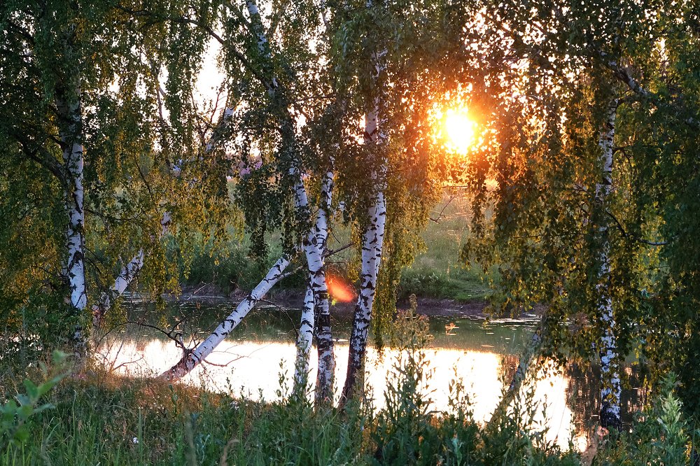 Photograph by Anna Saltykowa