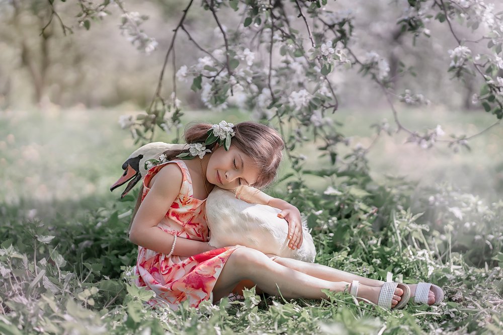 Девочка и лебедь