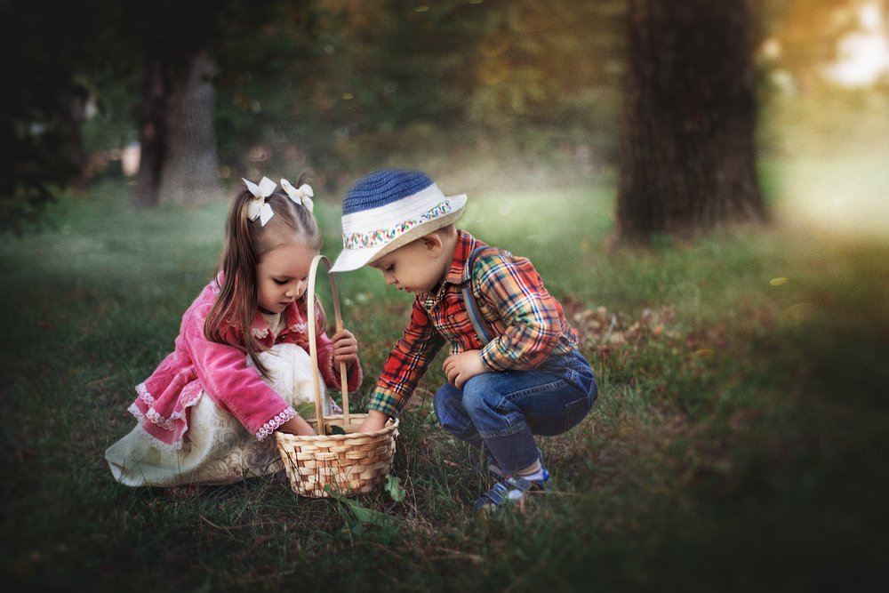 в сказочном лесу