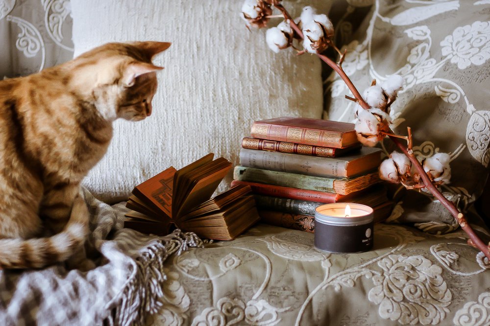 Любопытная Маруся