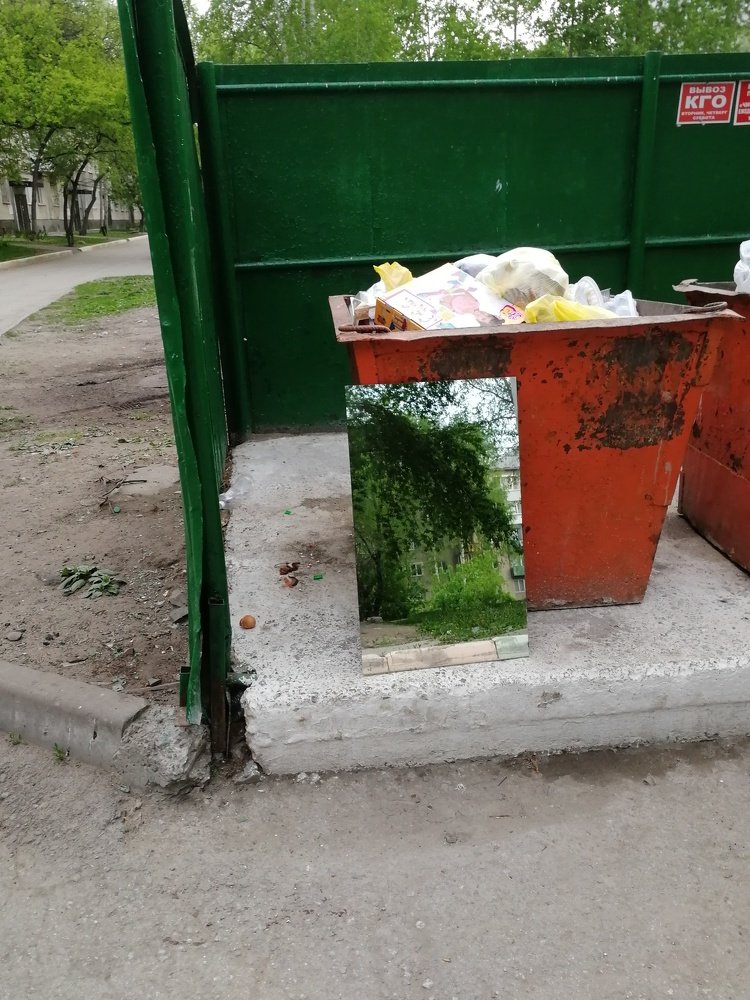 Экологический этюд