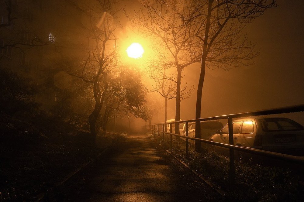 Бухта Тихая,  Владивосток