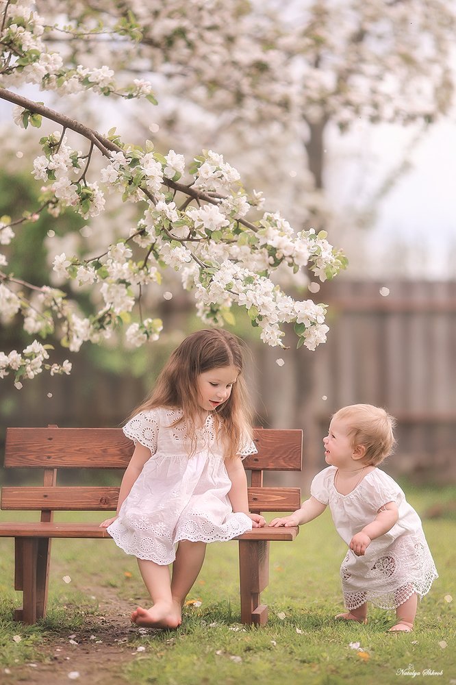 В яблоневом саду
