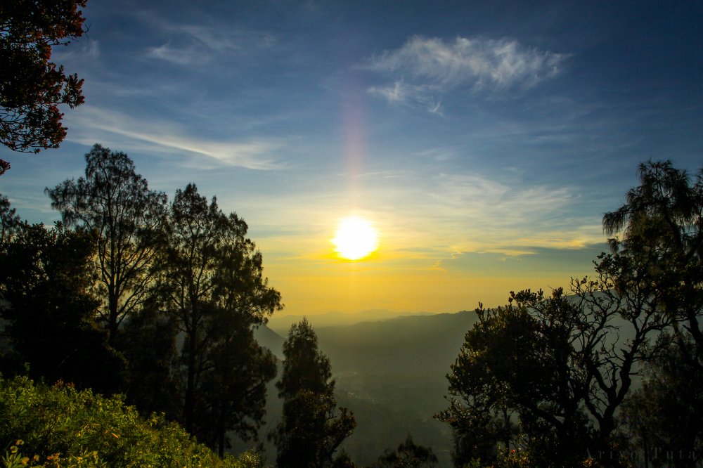 landscape bromo