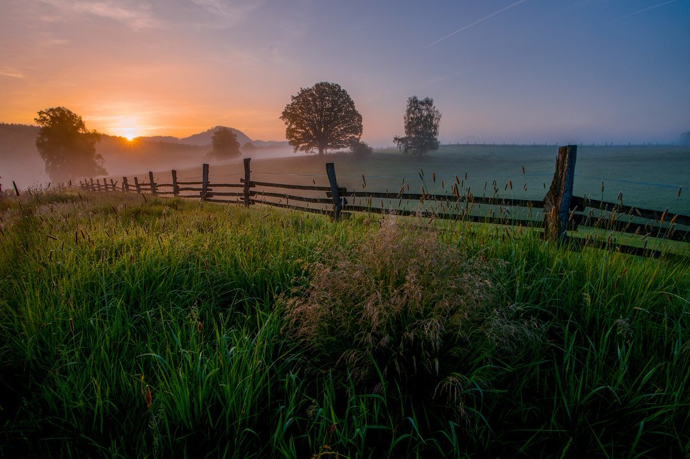 Sunrise in meadows
