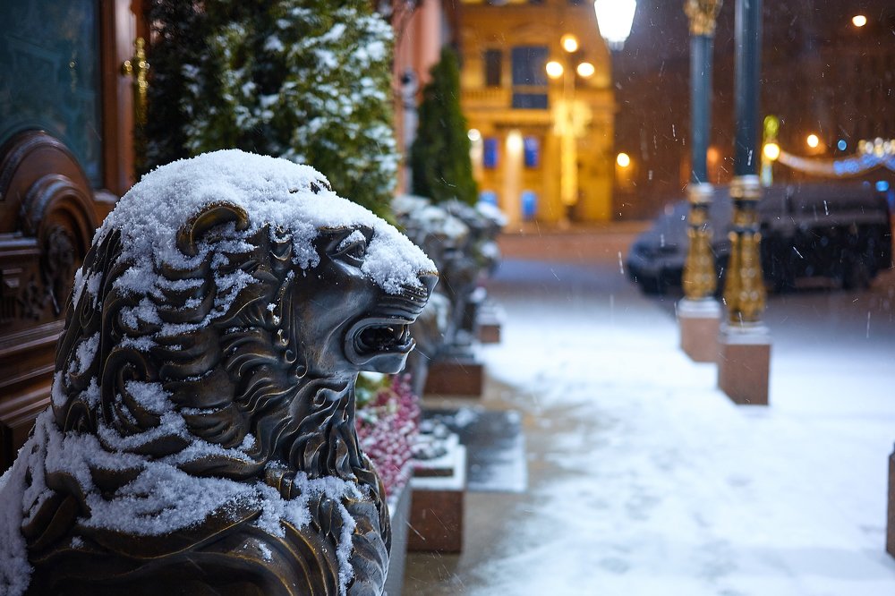 На страже ночного города