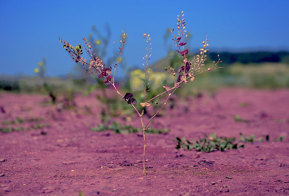 Photograph by Татьяна Риснянская