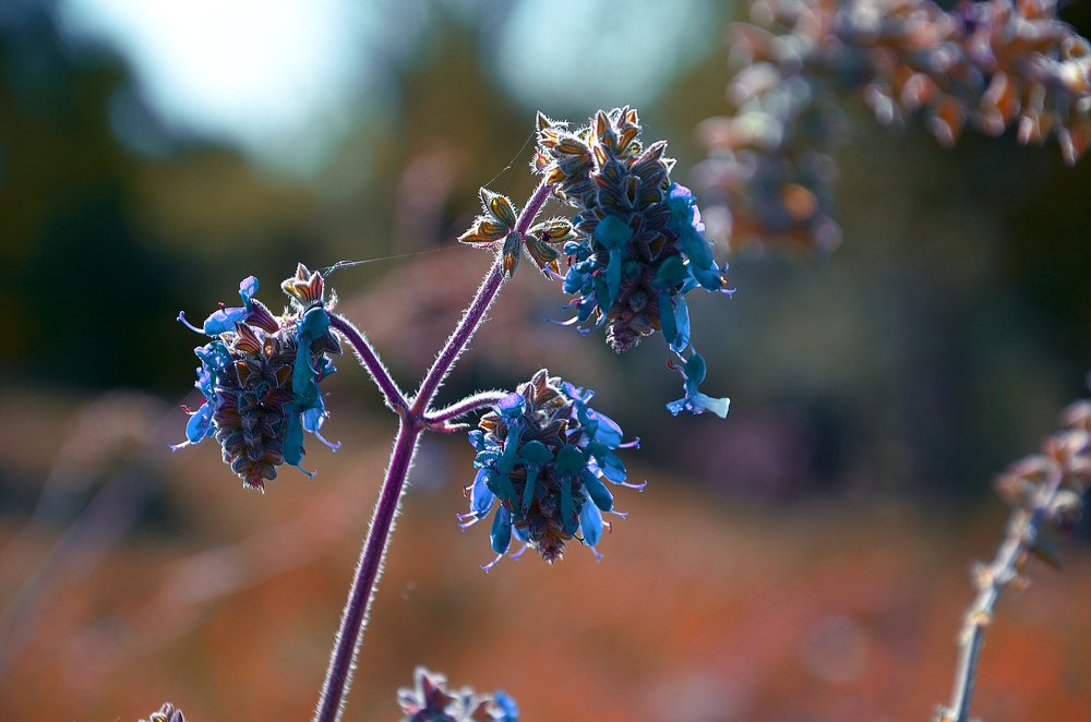 Photograph by Татьяна Риснянская