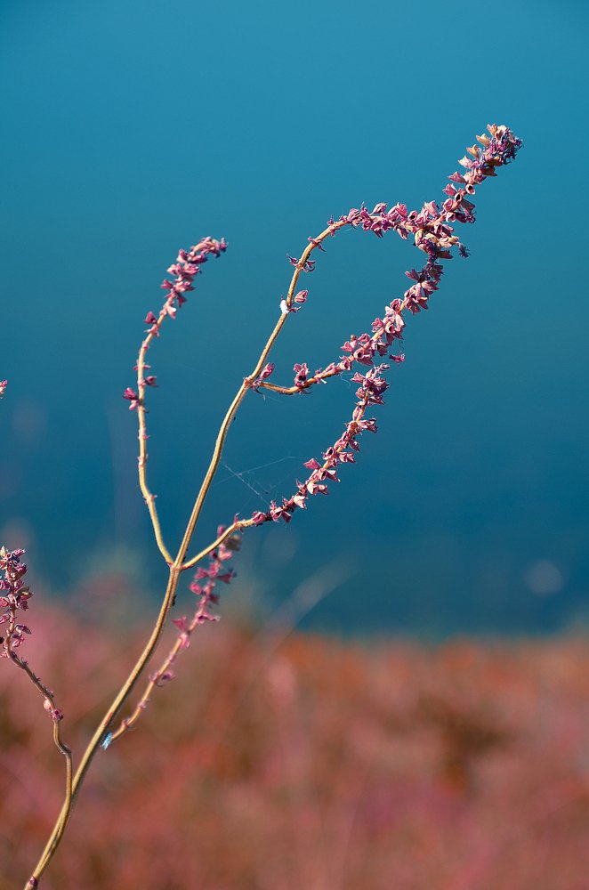 Photograph by Татьяна Риснянская