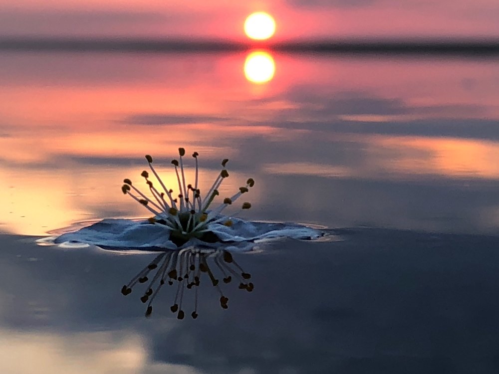 Юрмала Латвия