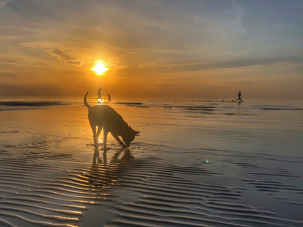 Юрмала Латвия