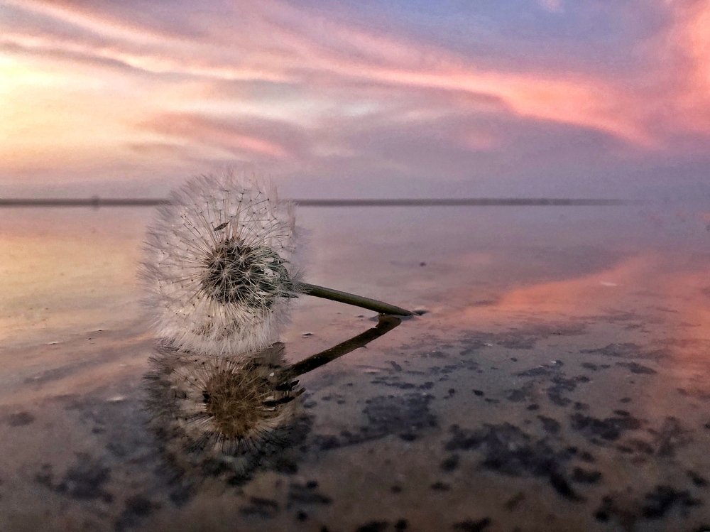 Юрмала Латвия