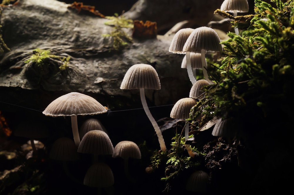 Таинственность...