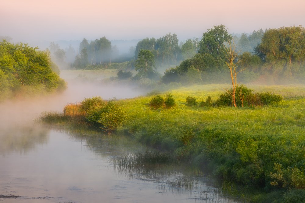 Волшебное утро на реке Угре...