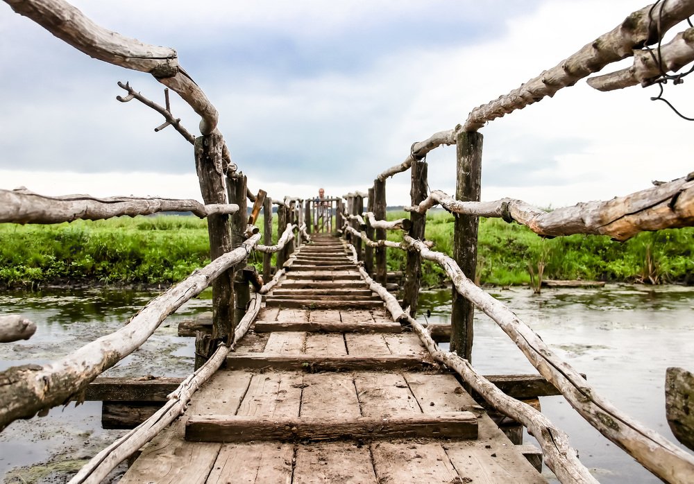 Photograph by Olga Egorova