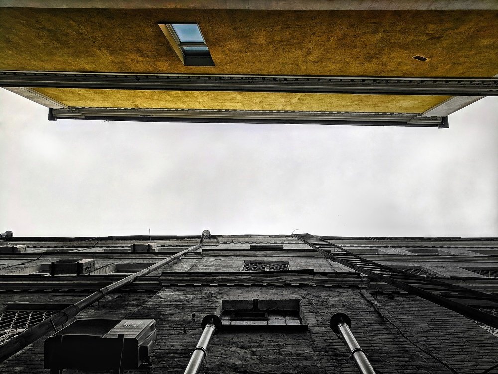Photo #3318614