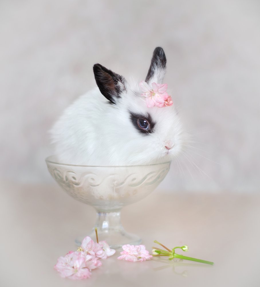 Десерт с изюмом