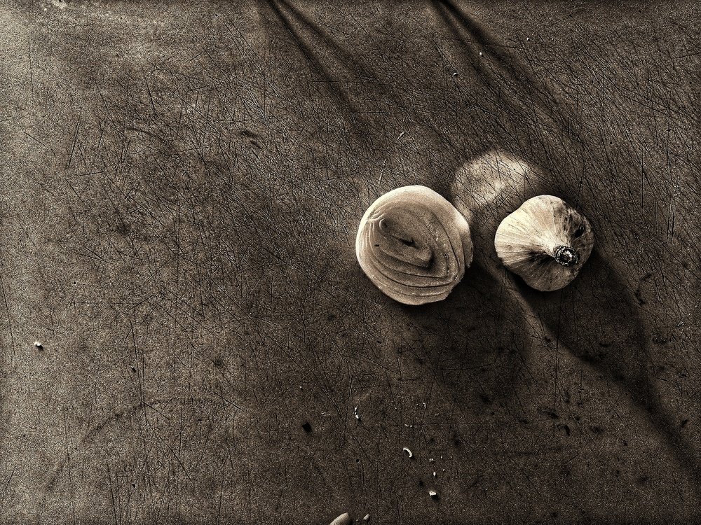 Photograph by Павел Бенедиктов