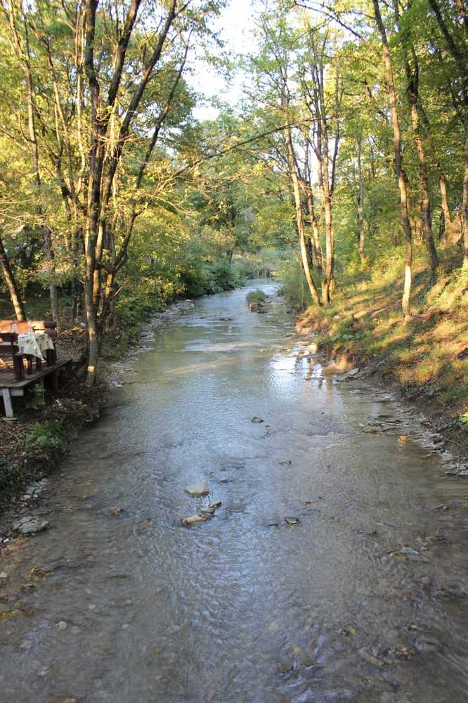 Photograph by Светлана Демченко