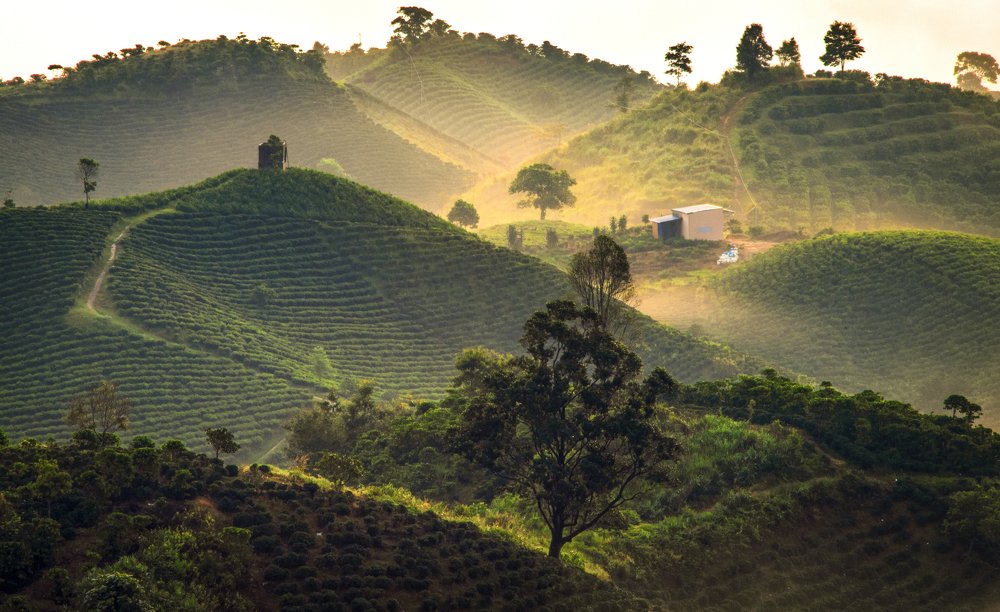 Dawn on the mountain