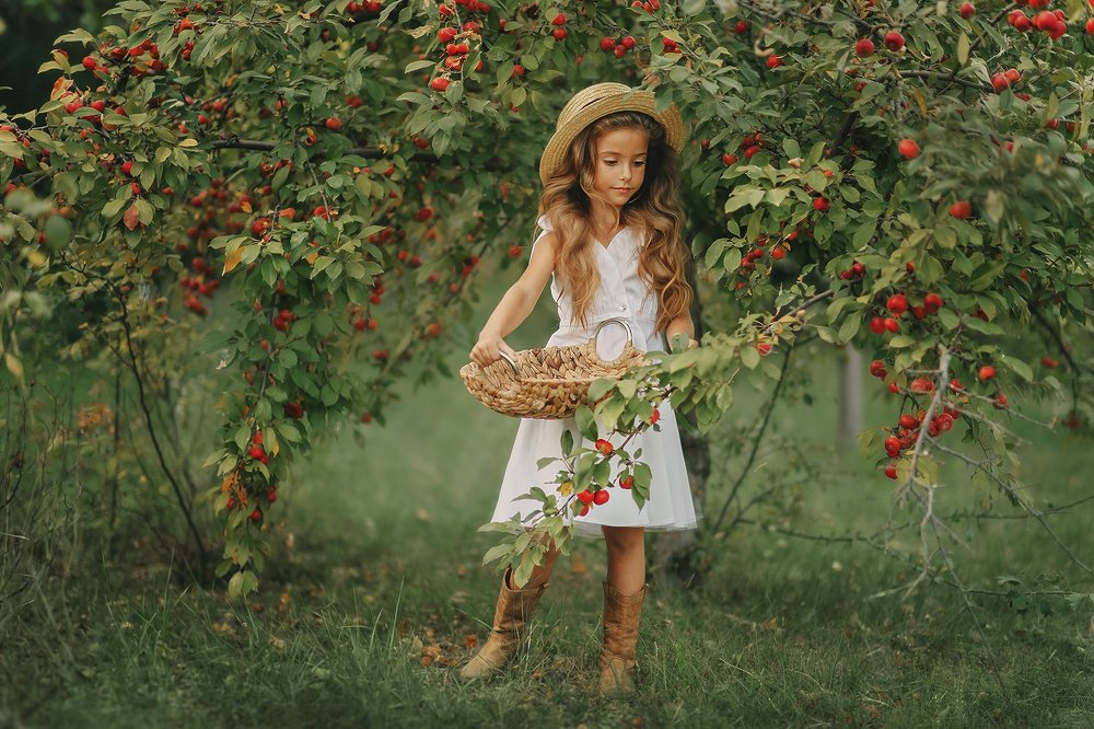 Райское яблоко