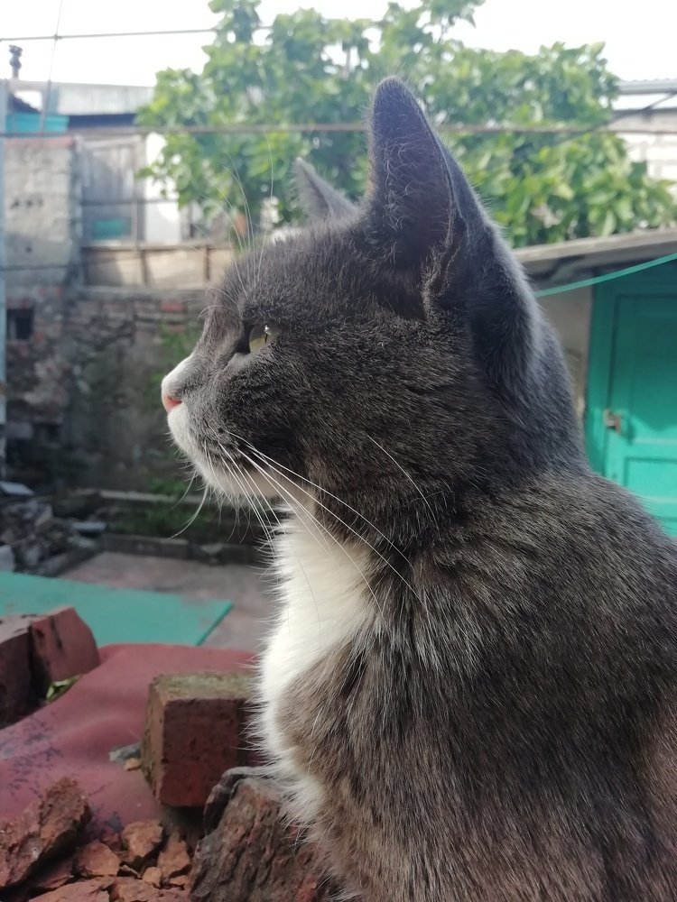 Photograph by Светлана Демченко