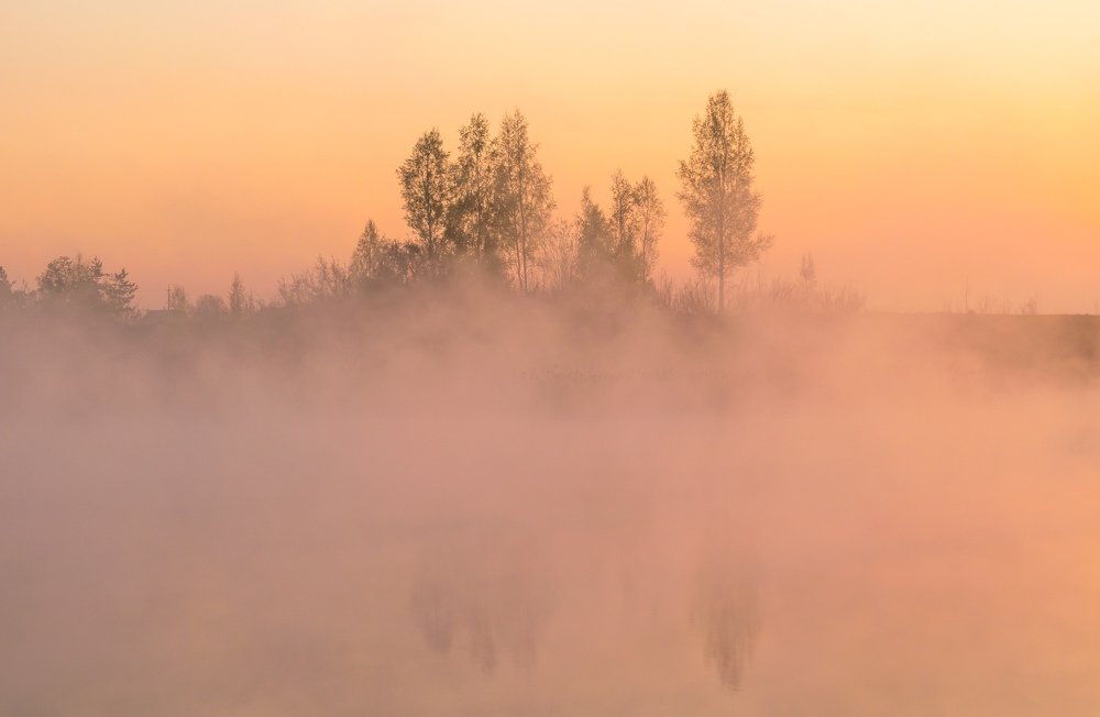 Туманное утро