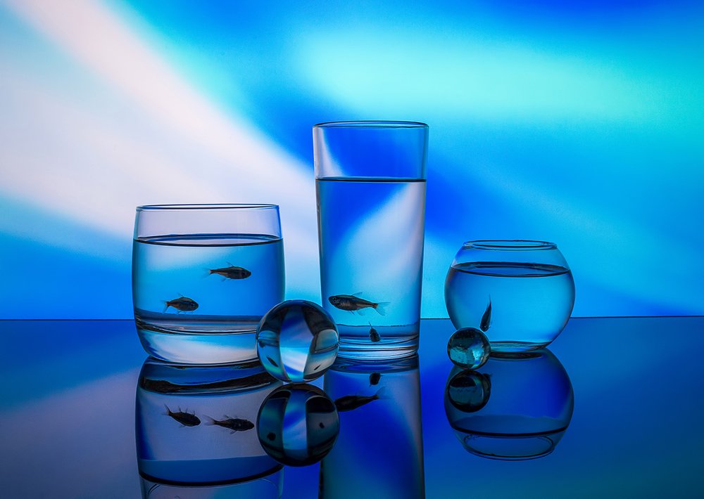 Из серии "Этюды с живыми рыбками"