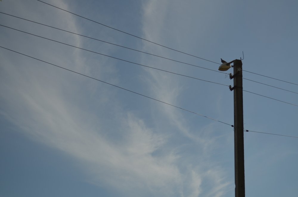 Photograph by Сергей. Андреев.