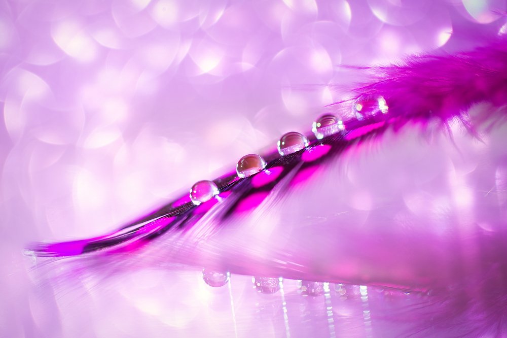 Меланхолия