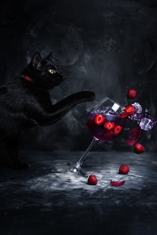 Photograph by Яна Шевченко