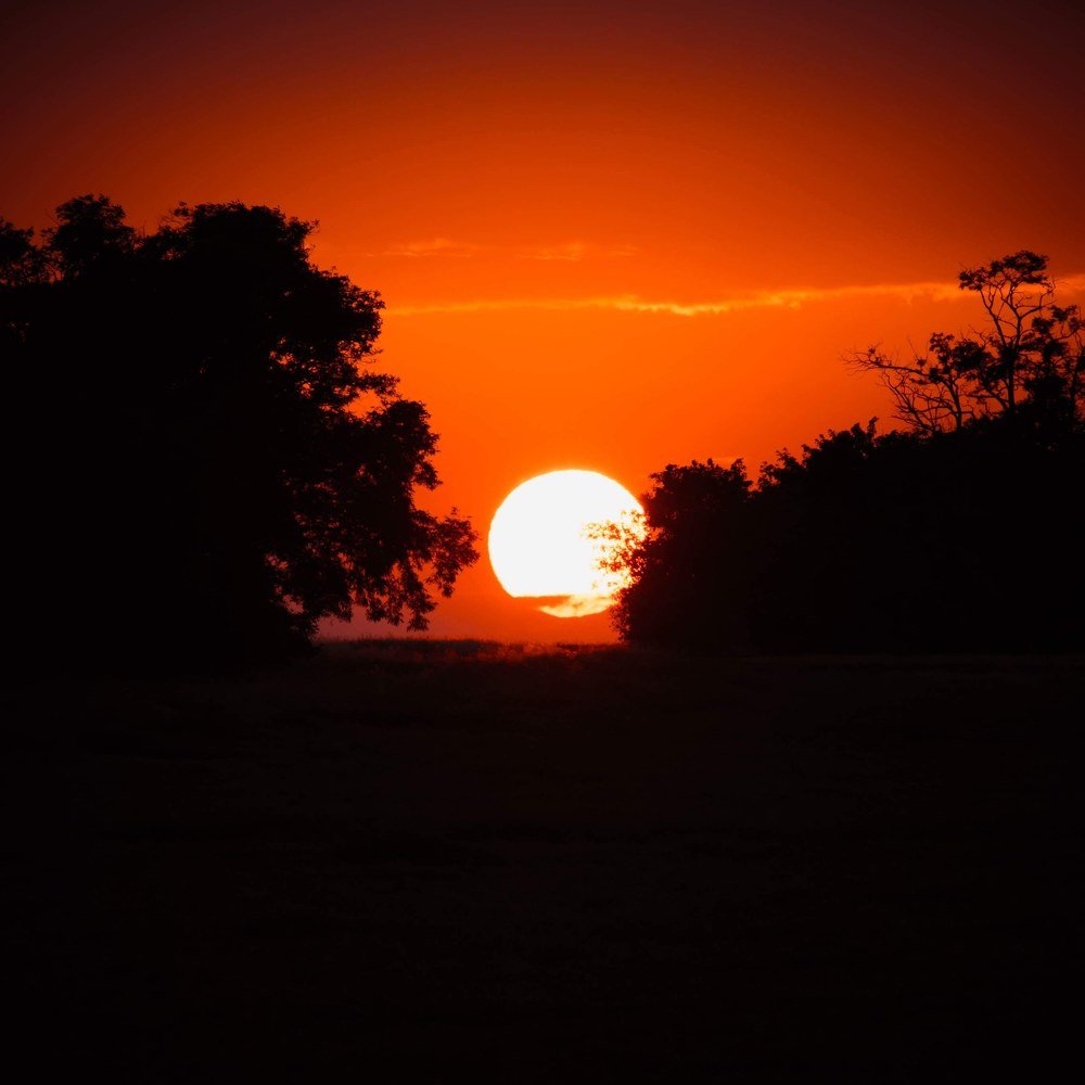 Sunset over horizon.