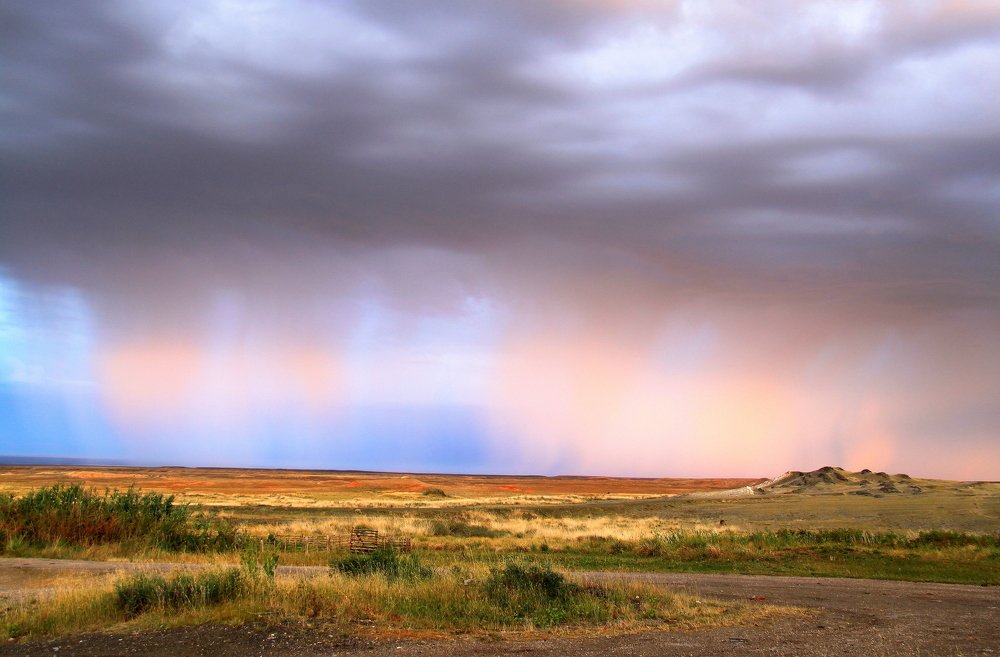 Цветные сны