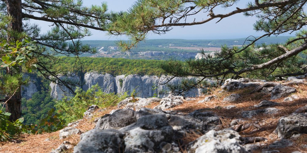 Photograph by Rodion Filimonov