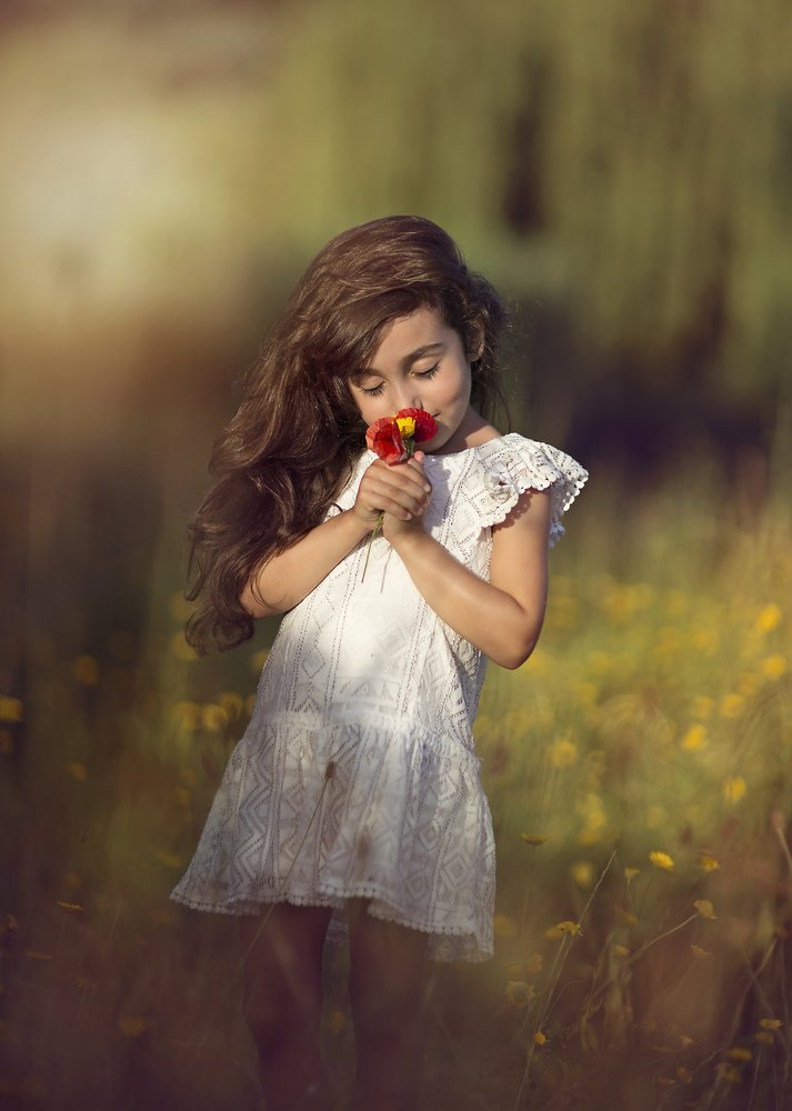 "My Summer in Toscany"