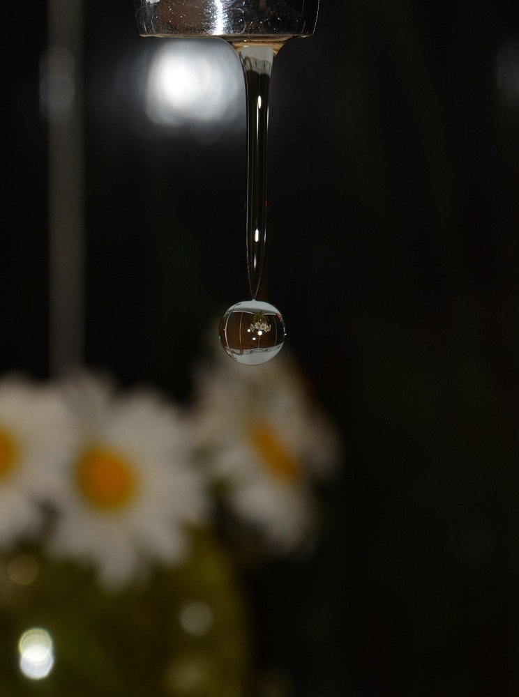 Капля с ромашками