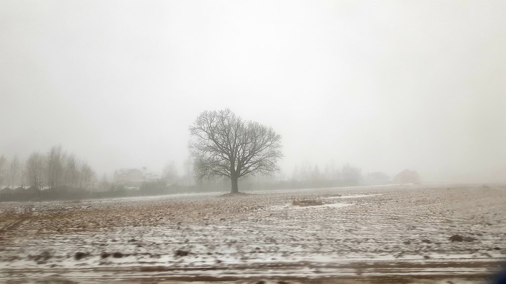 Один в поле.