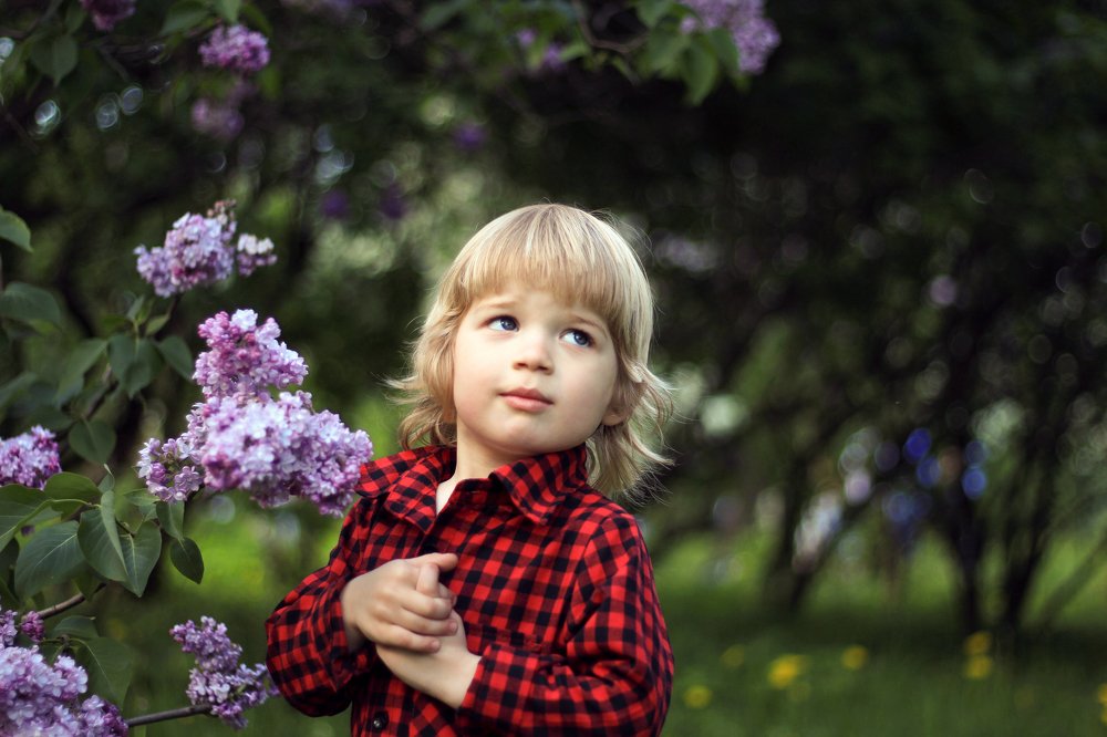 Дети цветы жизни