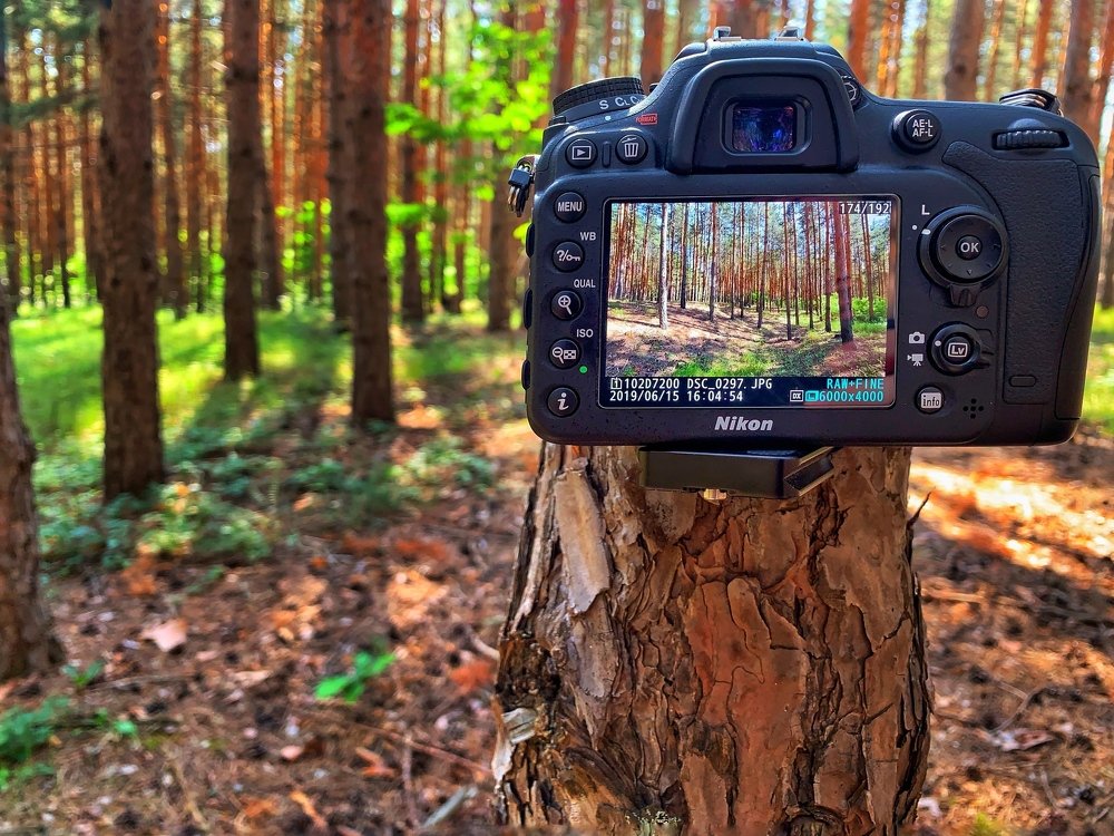 Photograph by vasil kolev