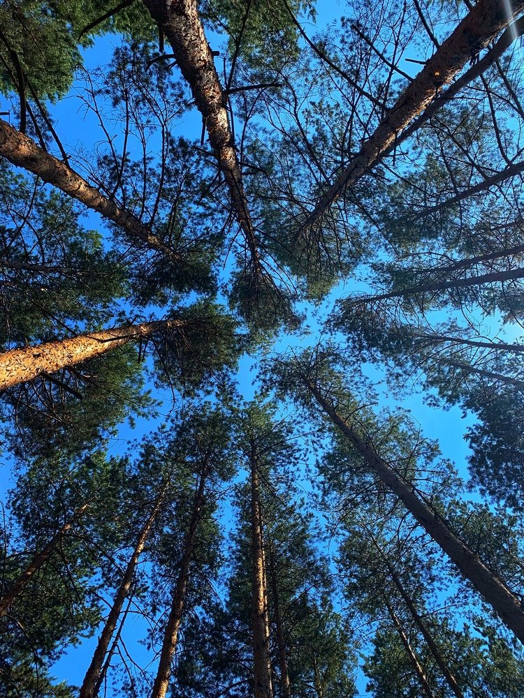 Photograph by vasil kolev