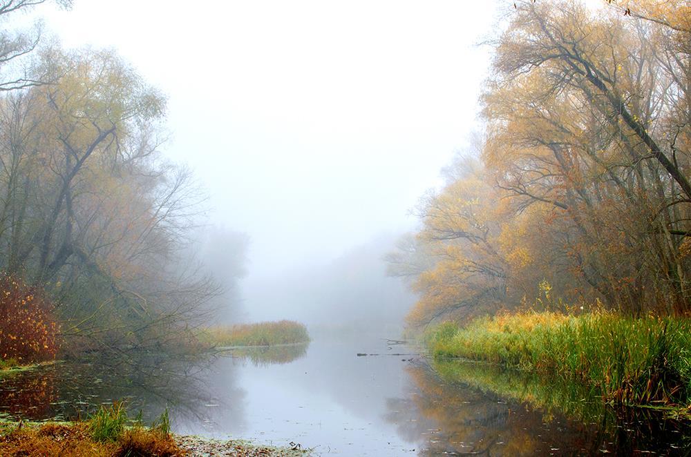 Туман над водой