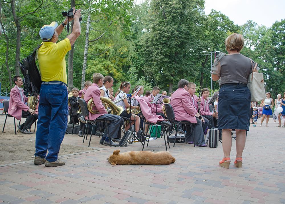 Играет оркестр