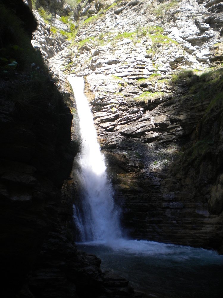 Photo #3320753
