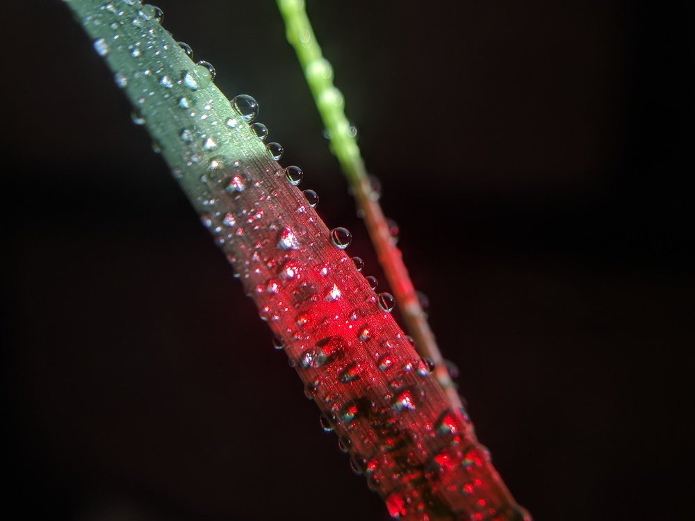 Photograph by Prakhar Sengar