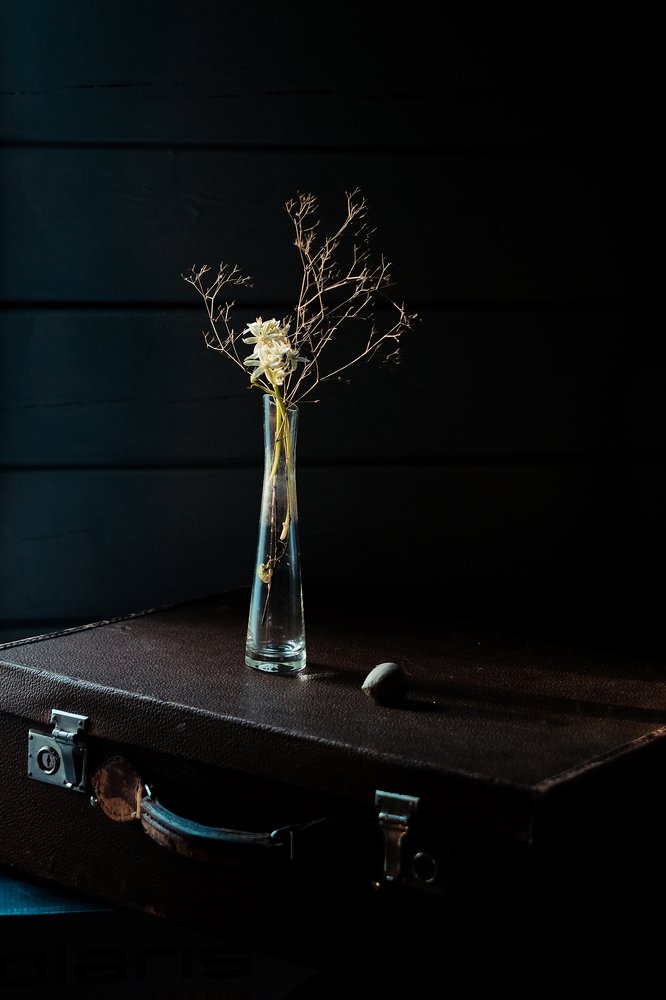 Photograph by Наталья Никитина