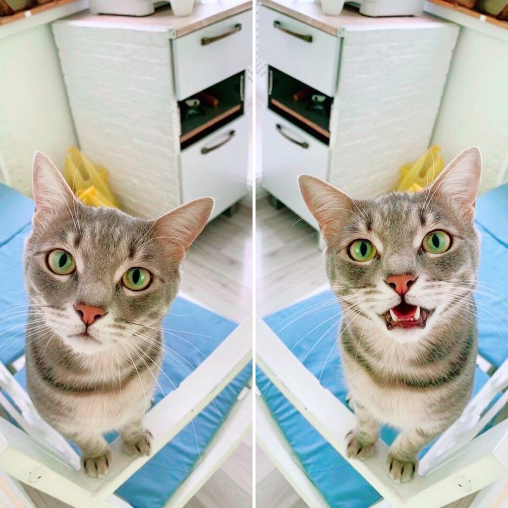 Photograph by Алёна Бушвехтерс