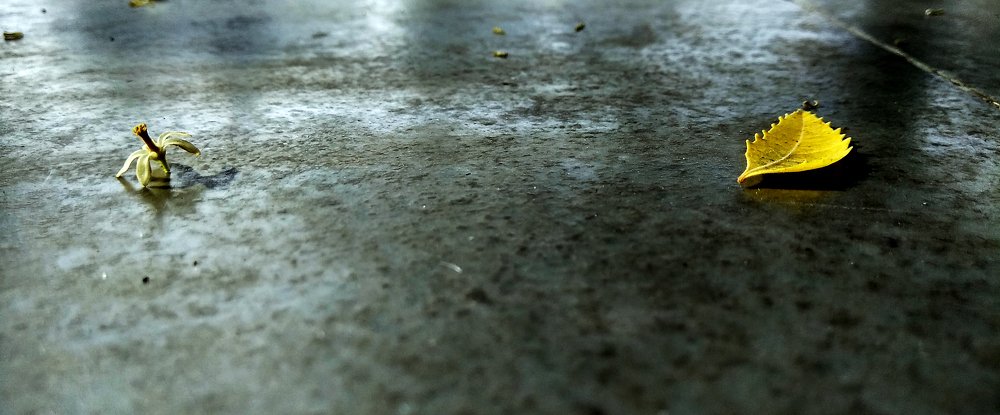 Nothing left