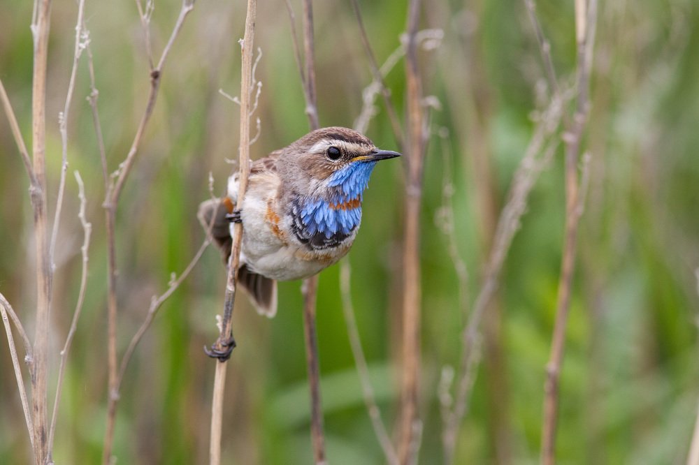 Photograph by Alexander Varakosov