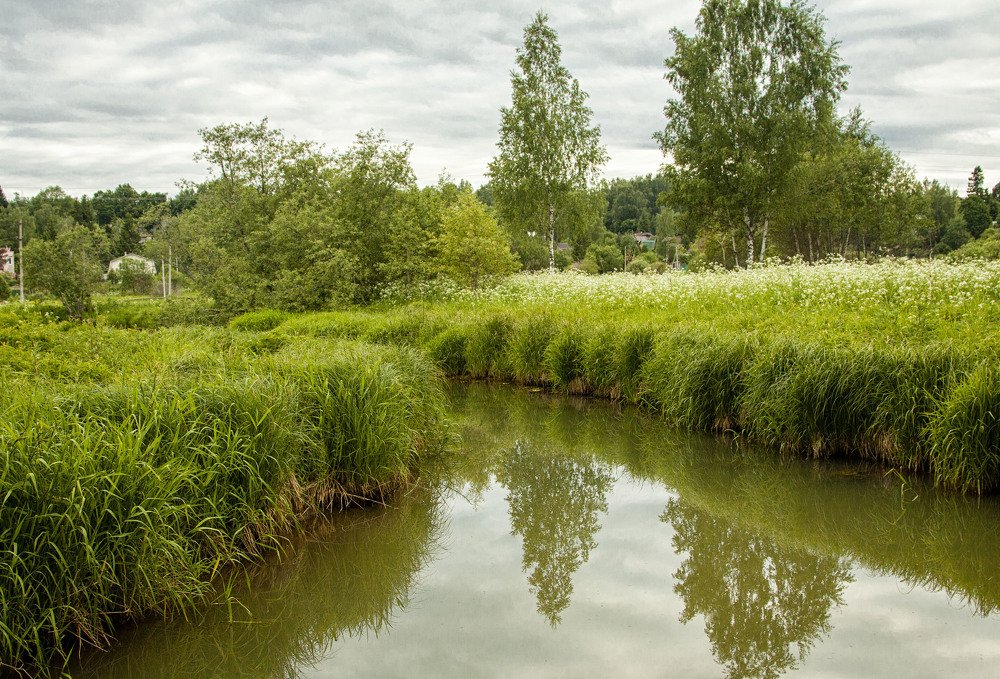 Подмосковье